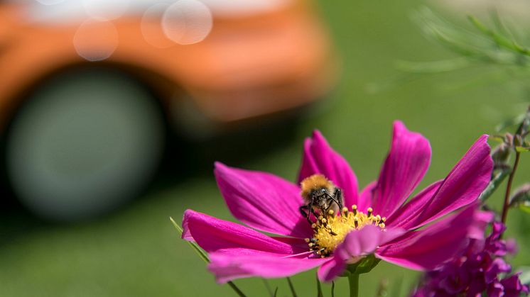 STIHL_Biodiversitaet_06