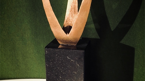 v-kronan_480x600.png
