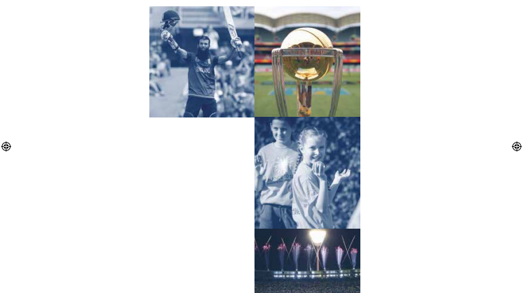 ECB ICC Cricket World Cup Participation Strategy document