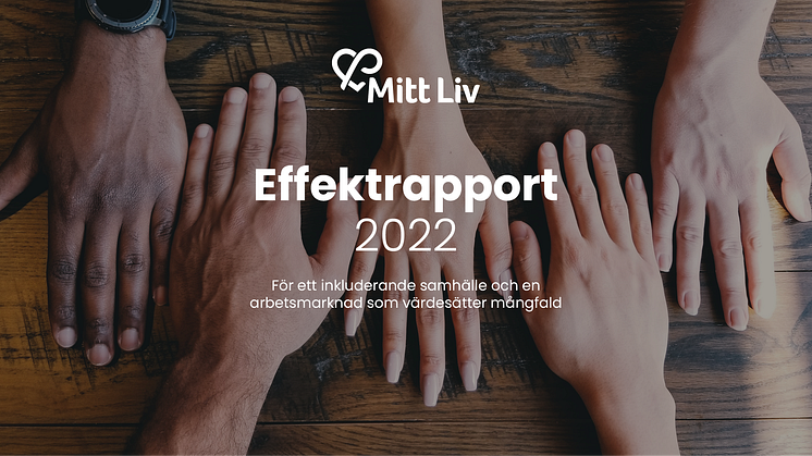 effektrapport 2022