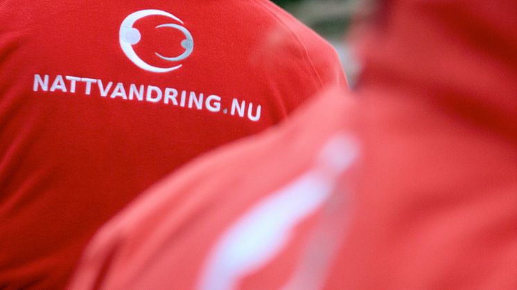 Helsingborg är Årets Nattvandringskommun 2021