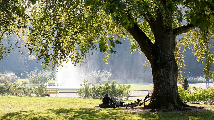 Kraftringen välkomnar att det nationella institutet för mänskliga rättigheter placeras i Lund