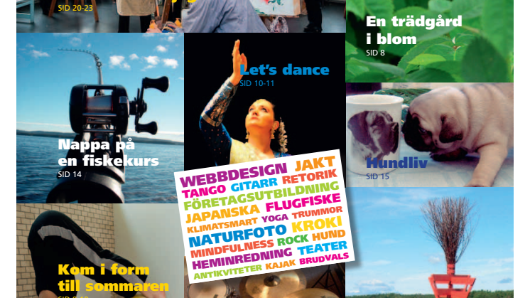 Studiefrämjandets vår- och sommarprogram för Stockholm 2011
