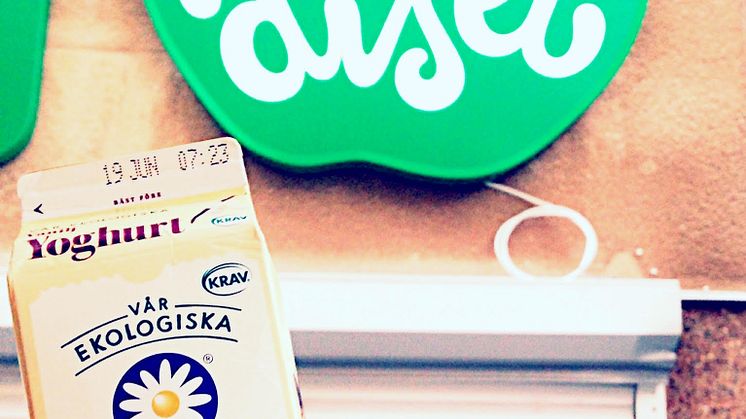 Ekomjölk från svenska bönder i Paradiset