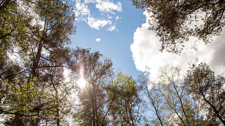 Med tanke på klimatet deltar Familjebostäder i allmännyttans klimatinitiativ