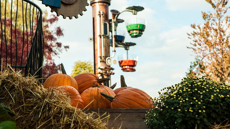 Karusellerna snurrar i Kaninlandet under Halloween på Liseberg