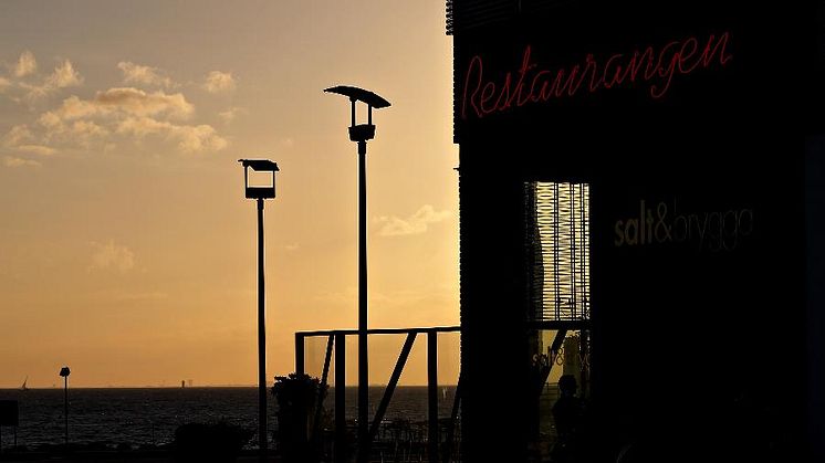 Hess i Västra hamnen Malmö
