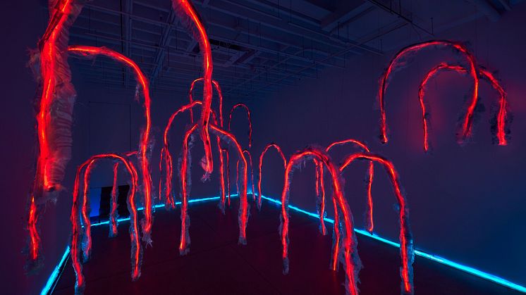 Tiril Hasselknippe, Hyperstate (2024).