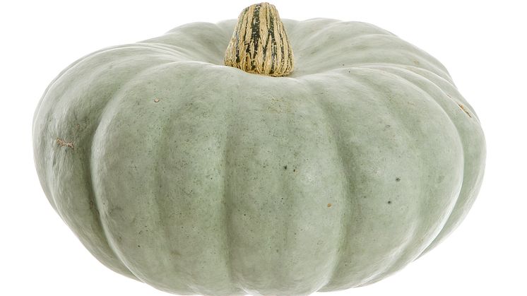 Jättepumpa för dekoration
