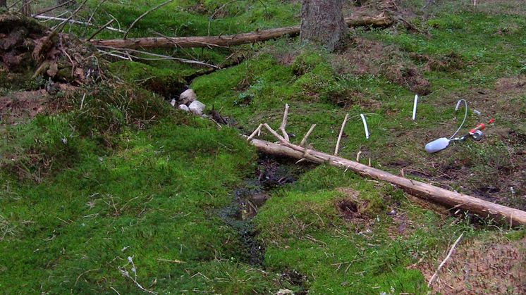 Skogsbäck i Kindla, ett av områdena med integrerad monitoring (IM) i Sverige.