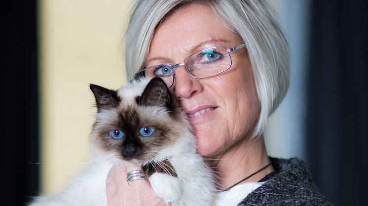 Katt med matte
