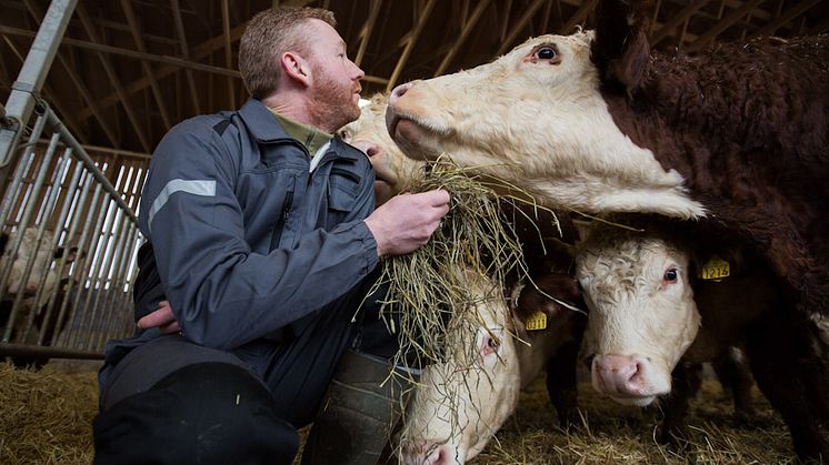 Foto: Norges Bondelag