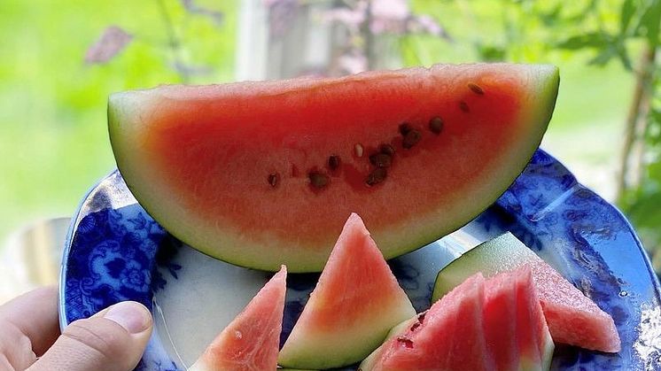 Vattenmelon 6.jpg