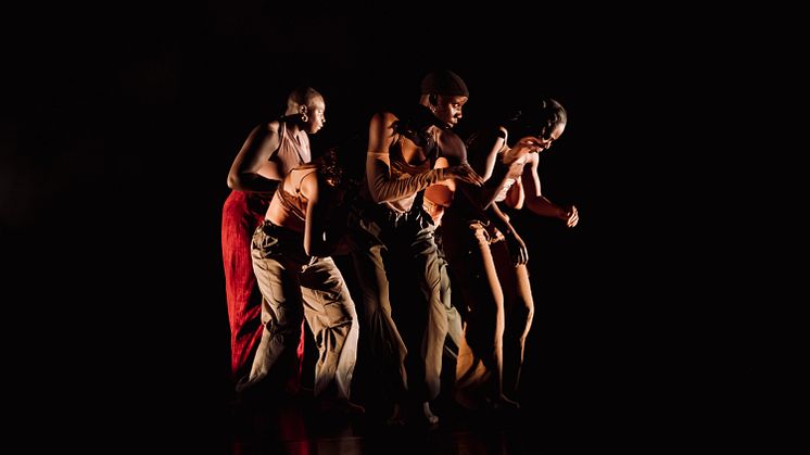 Company Nicolas Huchard - The barefoot diva