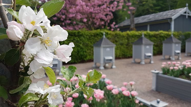 Bigården