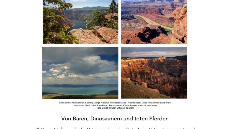Von Bären, Dinosauriern und toten Pferden