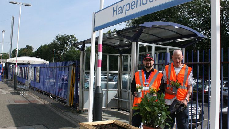 Harpenden gardening project