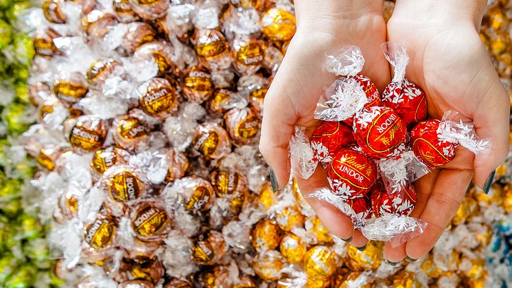 Lindor P&M