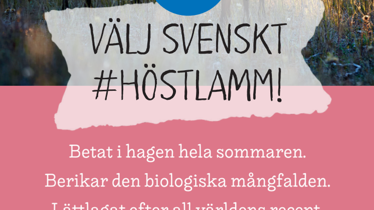 Kampanj #Höstlamm 2019, tre original för butik utan skärmärken