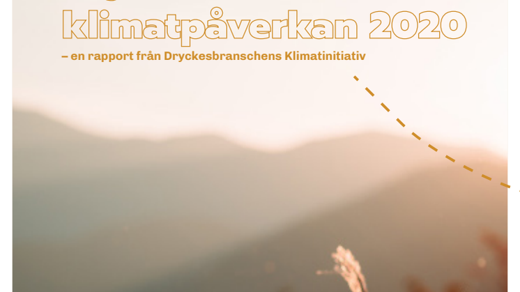 DKI-rapport 2020_svenska .pdf