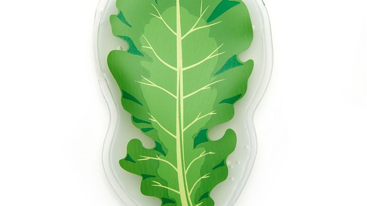 HW46_KALE-HOT_COLD-PACK_WB.jpg