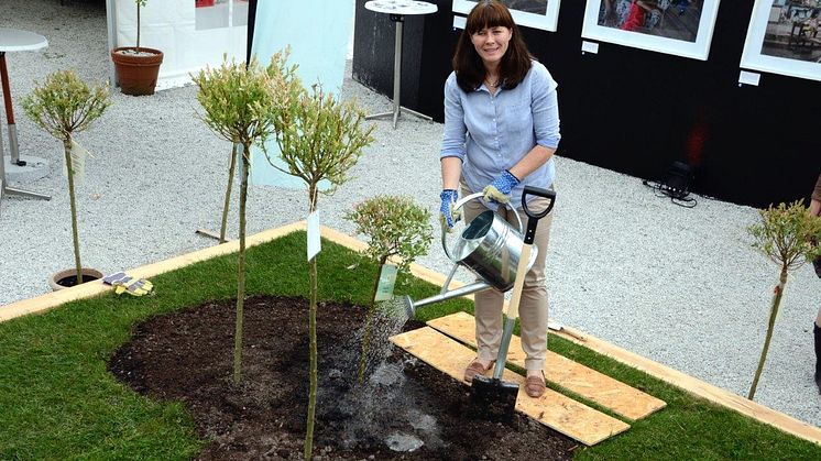 Åsa Romson planterar träd i Almedalen