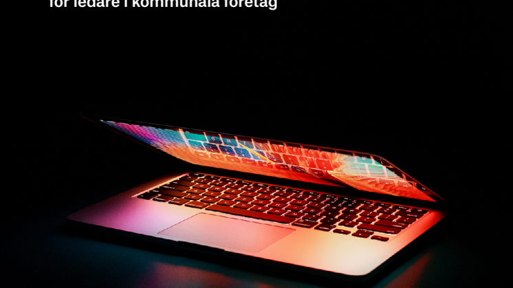 Sobona_Leda_for_digital_transformation.pdf