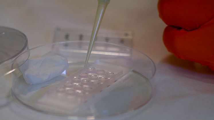 hydrogel-daniel-aili-IFM-2019-LiU-6-7599