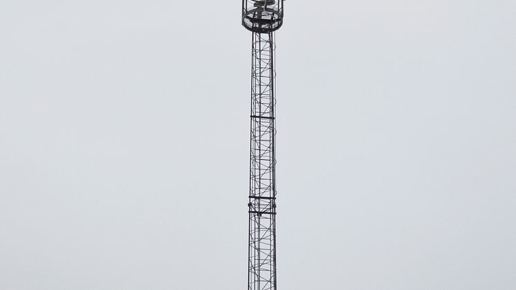 Mastbelysning Piteå Hamn