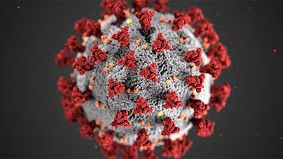 Passa på att vaccinera dig nu