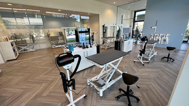 Fressnapf Salon Arbeitsfläche
