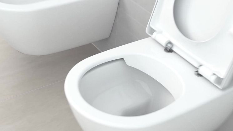 Hygienic Flush