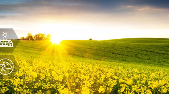 AgriHub Syd matchar primärproduktionens behov och akademins forskning.