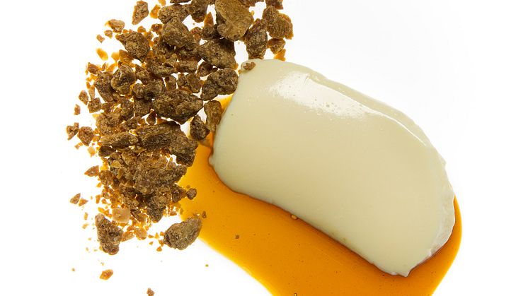 garlic pannacotta - Jouni Toivanen - fotograf: Emmanuel Nguyen