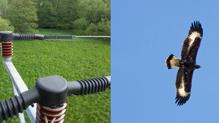 ONE Nordic örnsäkrar åt E.ON Elnät
