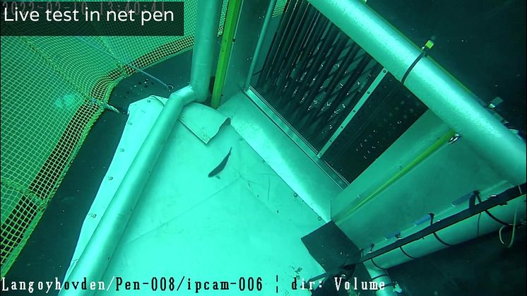 ifarm_sorter.mp4