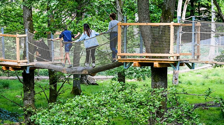 Årets största investering - världsunika Expedition UPP