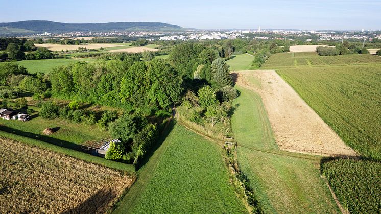 103474_Biodiversity-in-3D_HQ_P_2022-12-0001_Global