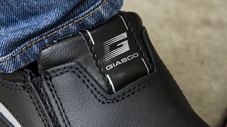 Giasco_Samel_2.jpg