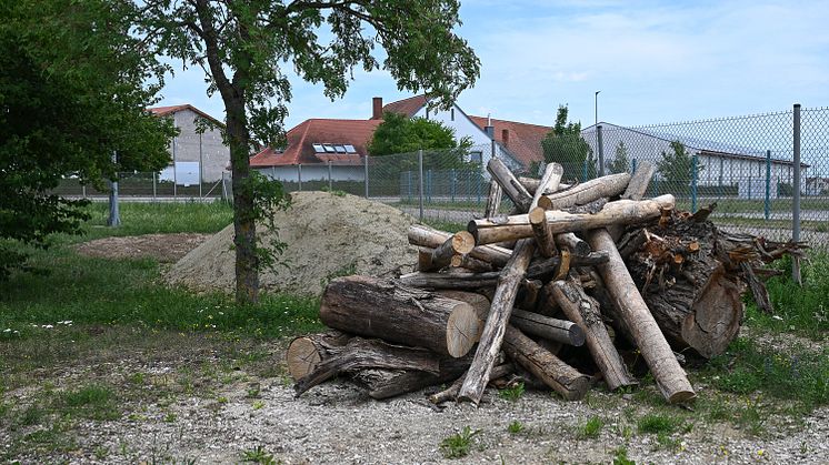 20220624_DSC_2937