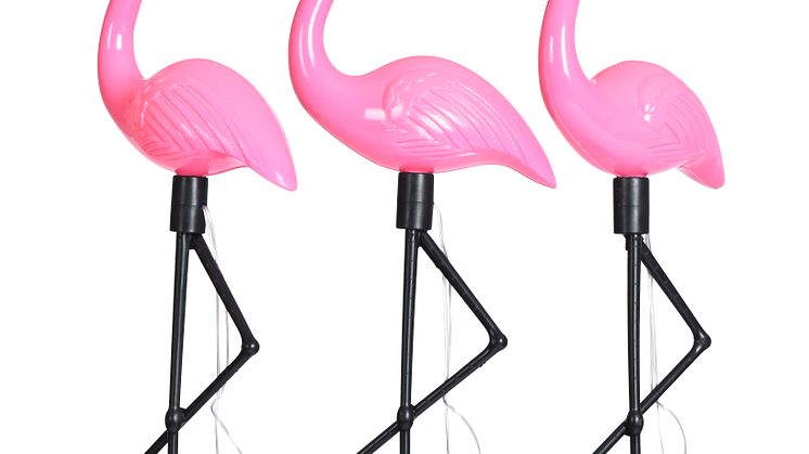 Solcelleslynge_Flamingos