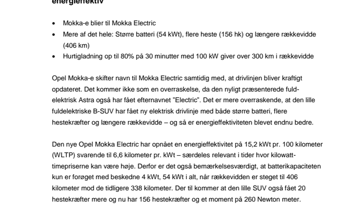 PM_Opel Mokka Electric.pdf