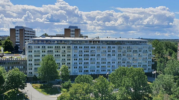 Fastigheten i kvarteret Sparrisen