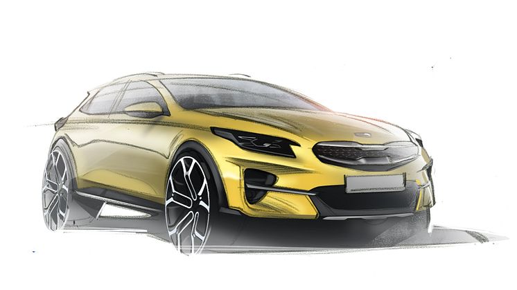 006 Front sketchy 2