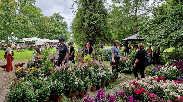 ROMANTIC GARDEN auf Rittergut Remeringhausen.JPG
