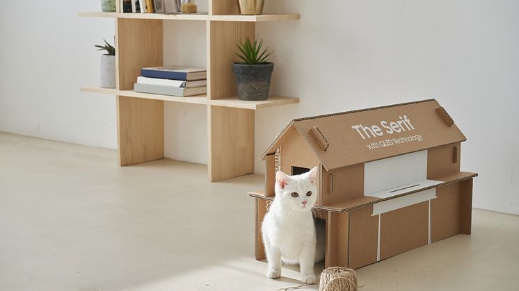Eco-Packaging-for-Lifestyle-TV-Lineup_4