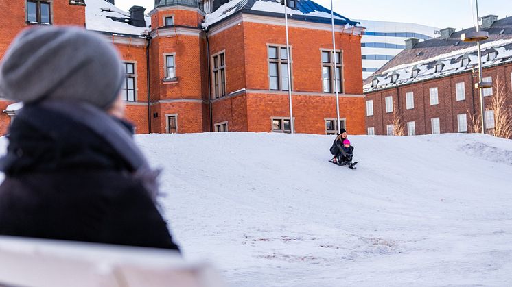 Pulkabacke på Rådhustorget i Umeå