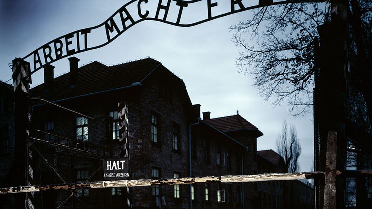 AUSCHWITZ: THE NAZIS AND THE FINAL SOLUTION_The HISTORY Channel