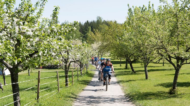Familjevänliga friluftsfestivalen Utehelg tillbaka på Värmdö – maxad med aktiviteter 