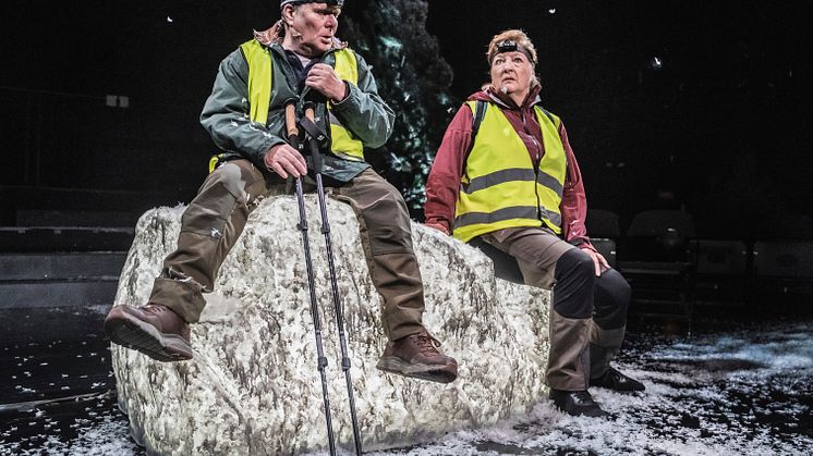 Framsyningsfoto I svarte skogen inne